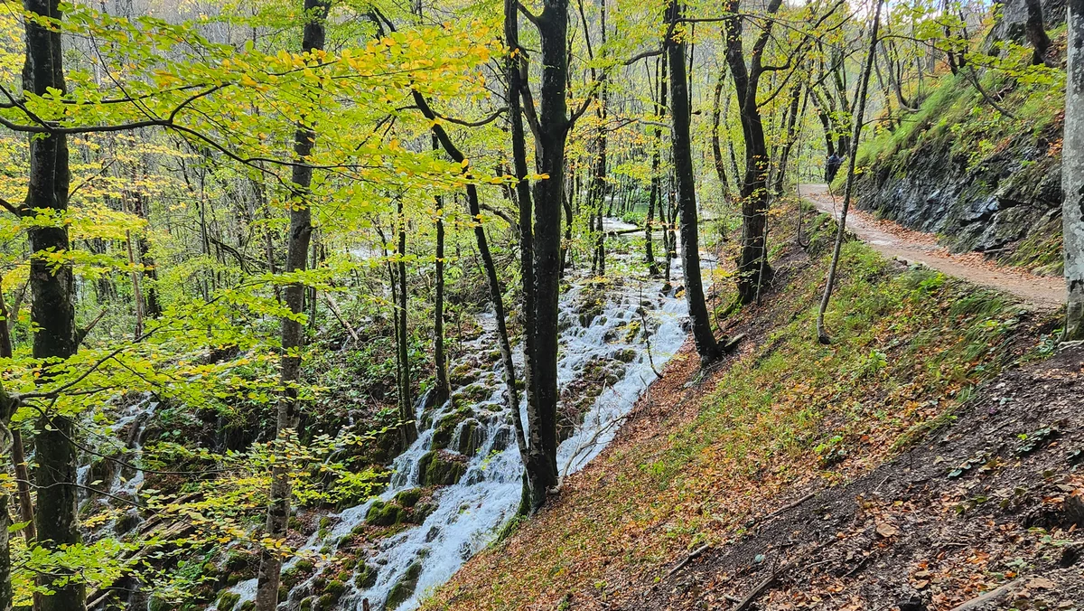 Autumn foliage beside the water at Plitvice Lakes