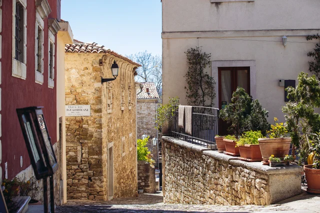 Motovun old streets town (52829433694).jpg